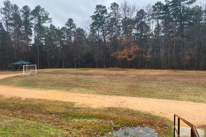 Field 