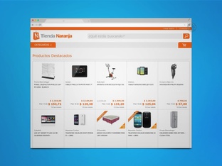 portfolio