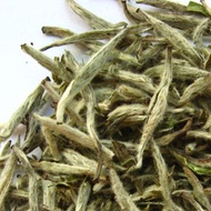 Bai Hao Yin Zhen from Camellia Sinensis
