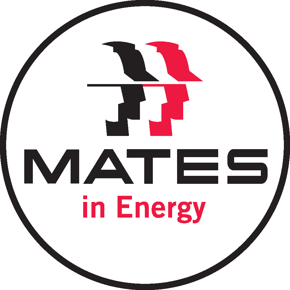 MATES in Construction QLD/NT Ltd logo