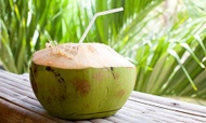 Coconut Water Green Rooibos from Madametj's Fresh Garden