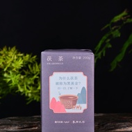 2018 Mojun Fu Cha "Himalaya Fu Brick" Tea from Yunnan Sourcing
