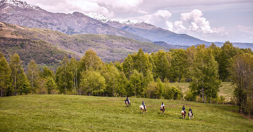 Horseback Riding Lessons photo 1