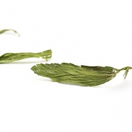 Dried Stevia Leaves Herbal Tea from Teavivre
