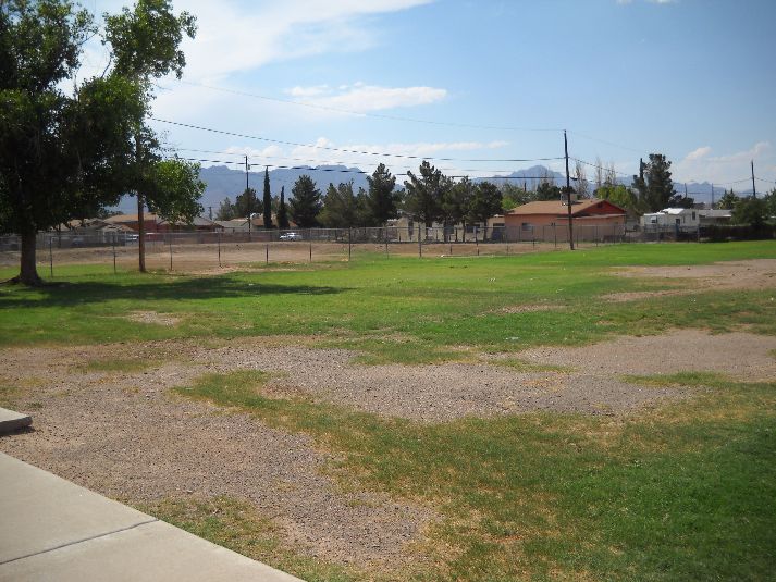 Playfield