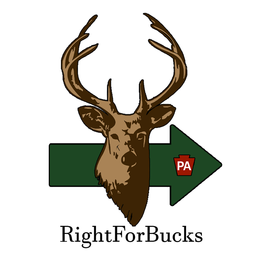 RightForBucks Organization logo