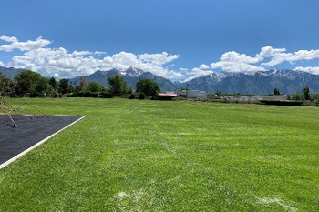 Fields