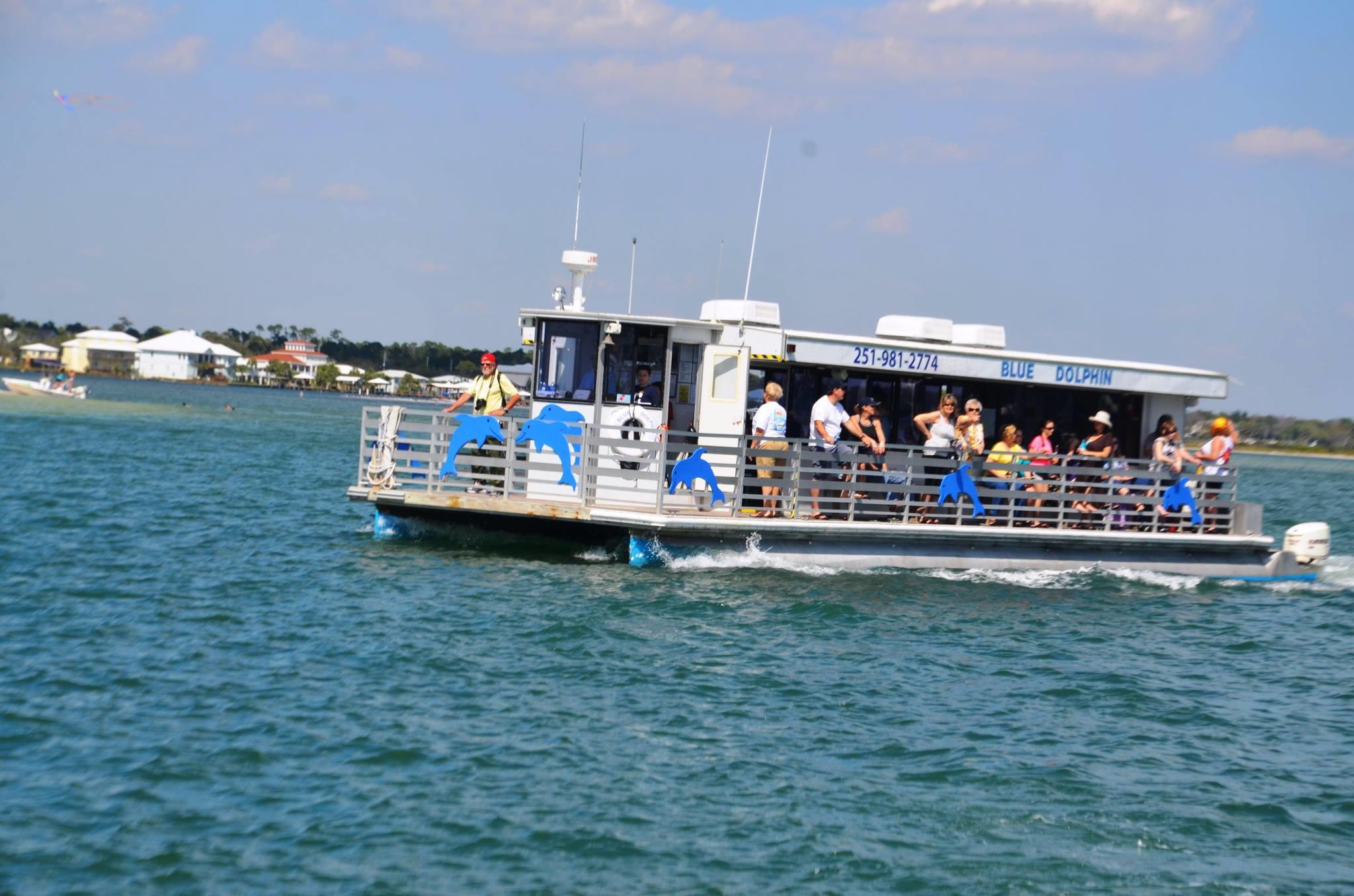Dolphin Cruise