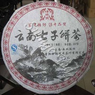2007 Yangpinhao 8376-Chitsu Bingcha (Tea Cake) from Yang Pin Hao