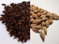 Honey Malt w/ Chocolate Malt from Malt-Tea.com