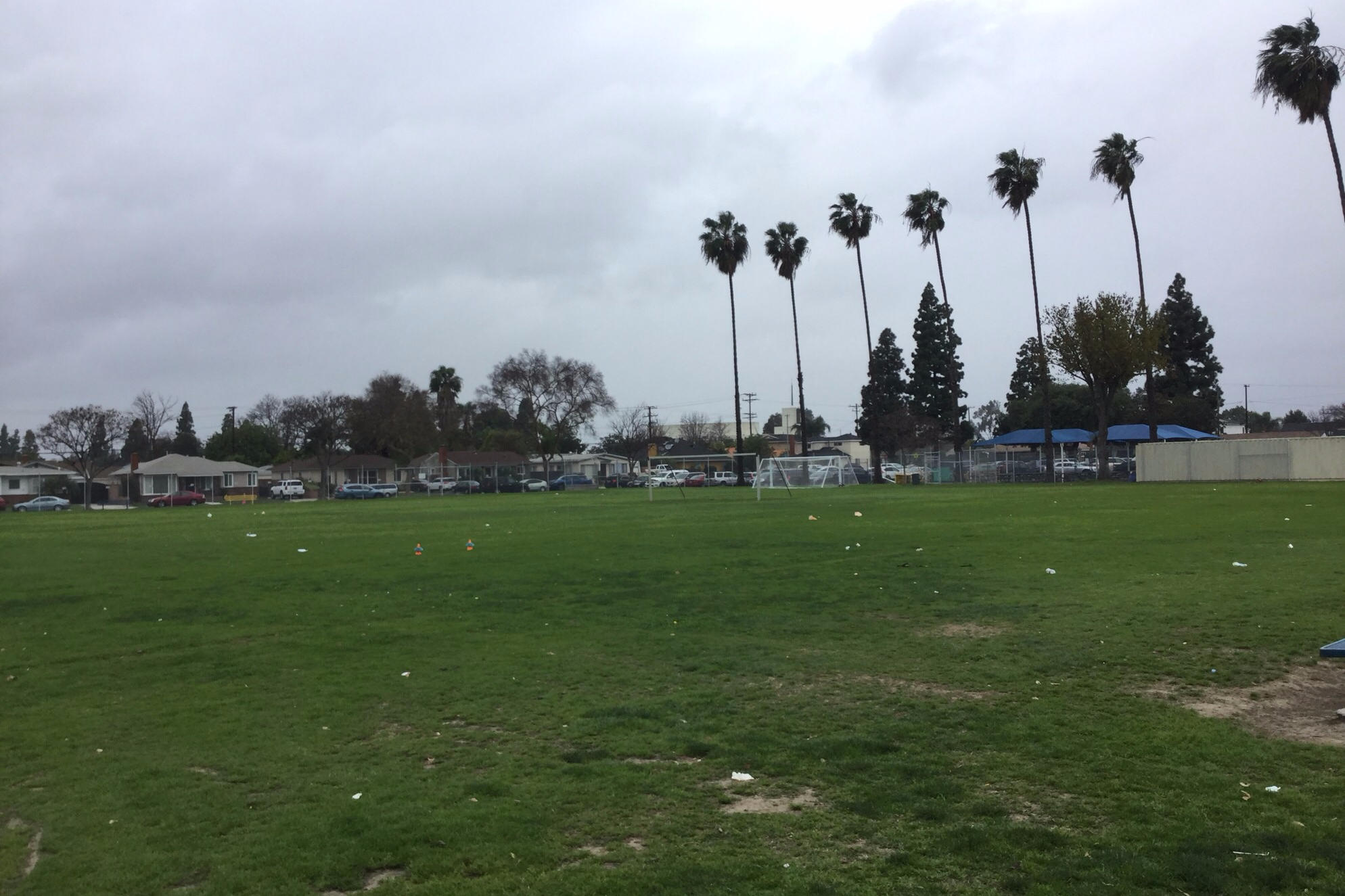 Field-West