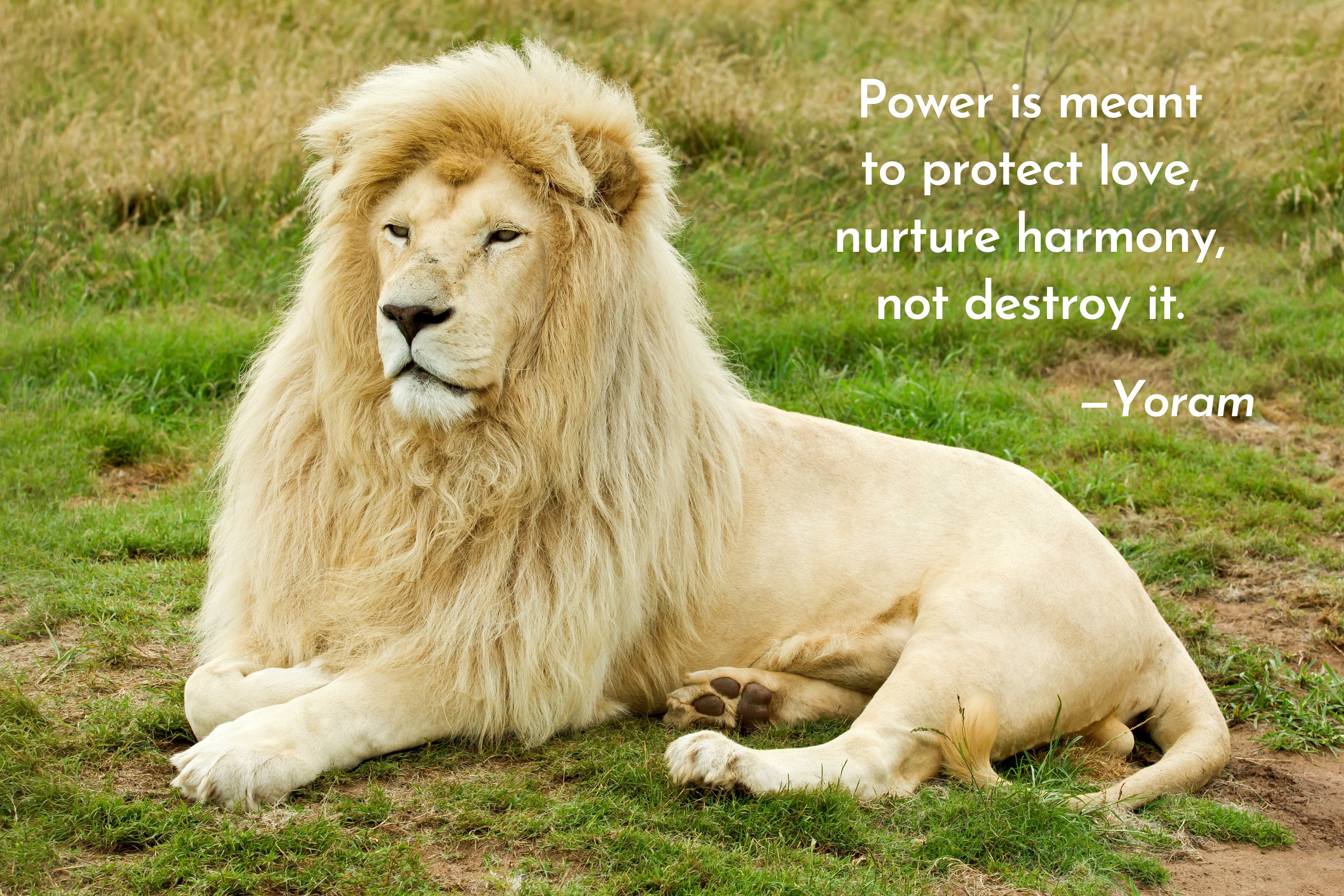 The Nurturing Power of Love