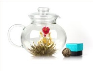 Jasmine Garland from DAVIDsTEA
