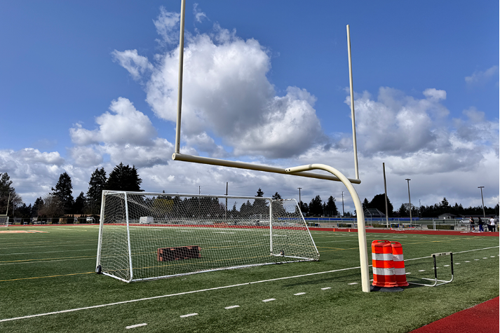 Football/Soccer Field Turf