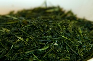 Fukamushi Sencha Premium from Halcyon Tea