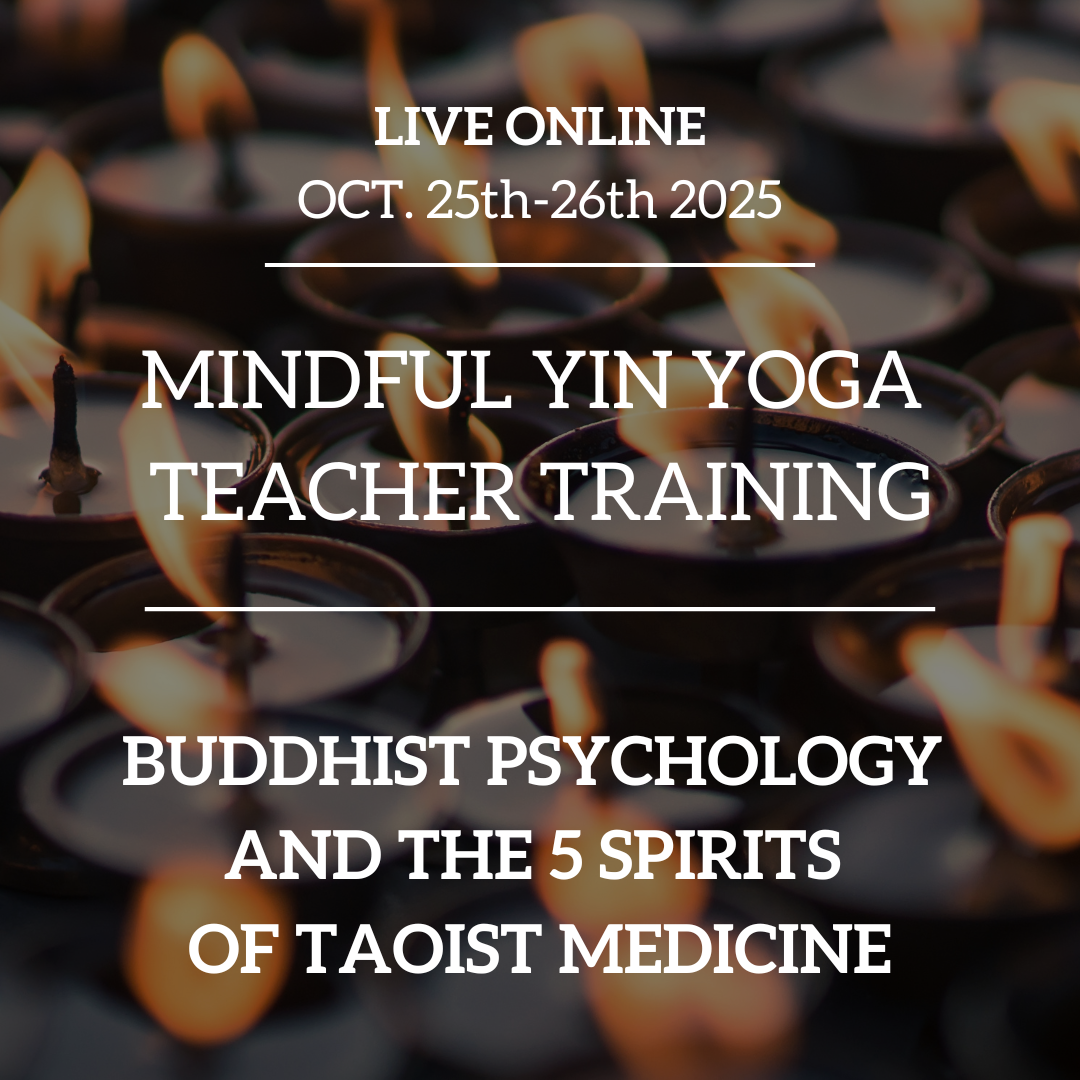 Mindful Yin Yoga Teacher Training