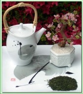 Kagoshima Shincha from Green Tea Lovers