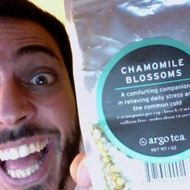 Chamomile from Argo Tea