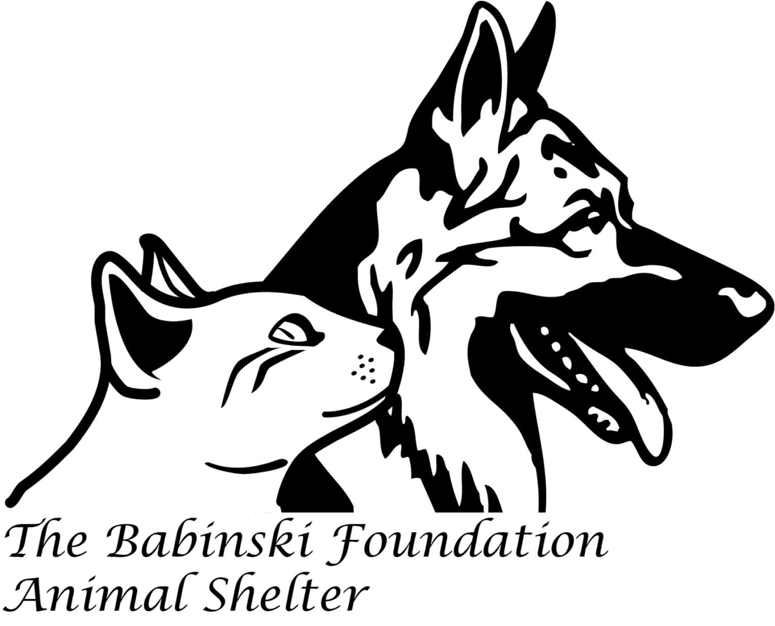 The Babinski Foundation logo