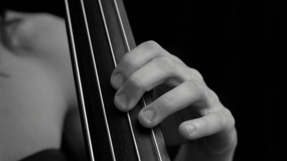 Double Bass Left Hand Technique Discover Double Bass