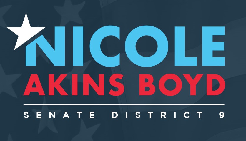 nicole akins boyd for senate logo