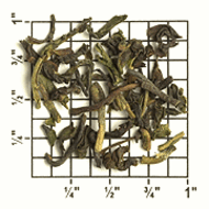 Arya Estate Early Flush FTGOP1 Ex1 from Upton Tea Imports