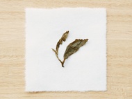 Red Water Tieguanyin from Song Tea & Ceramics
