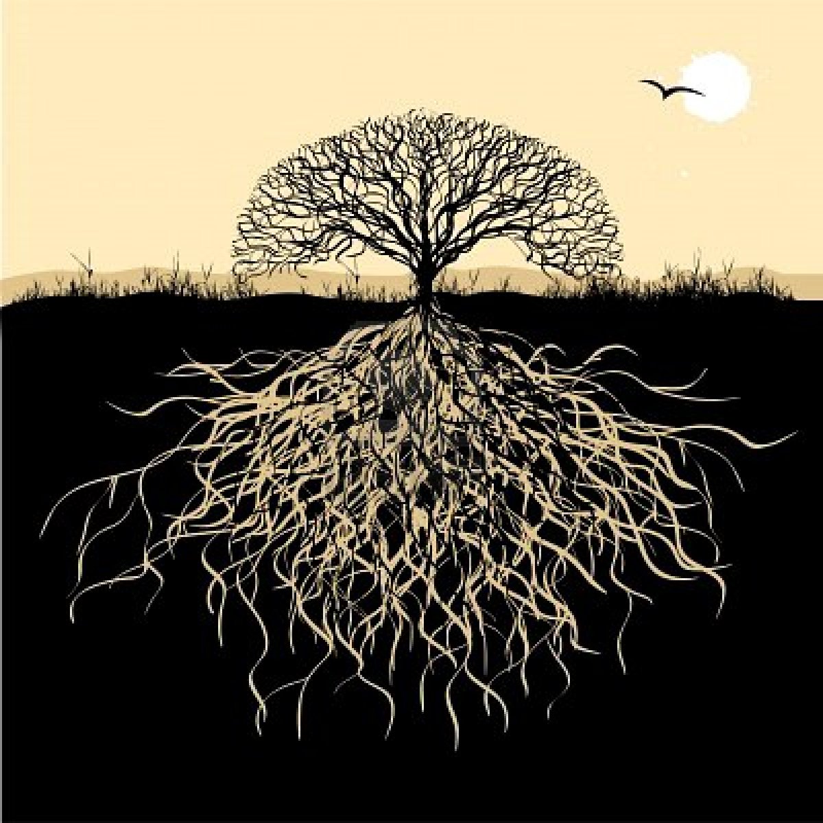 symbol psychology behind meaning origins 'n'  roots RapPad