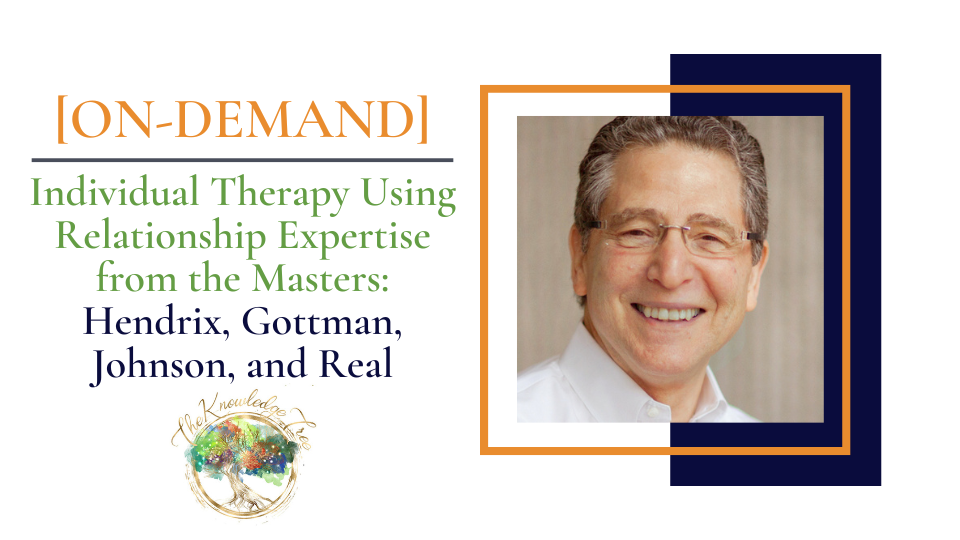 Individual Therapy Using Relationship Expertise On-Demand CEU Workshop for therapists, counselors, psychologists, social workers, marriage and family therapists