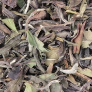 Bai Mu Dan from De Theefabriek