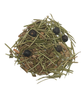 Forest Chai from Apothecary Teas