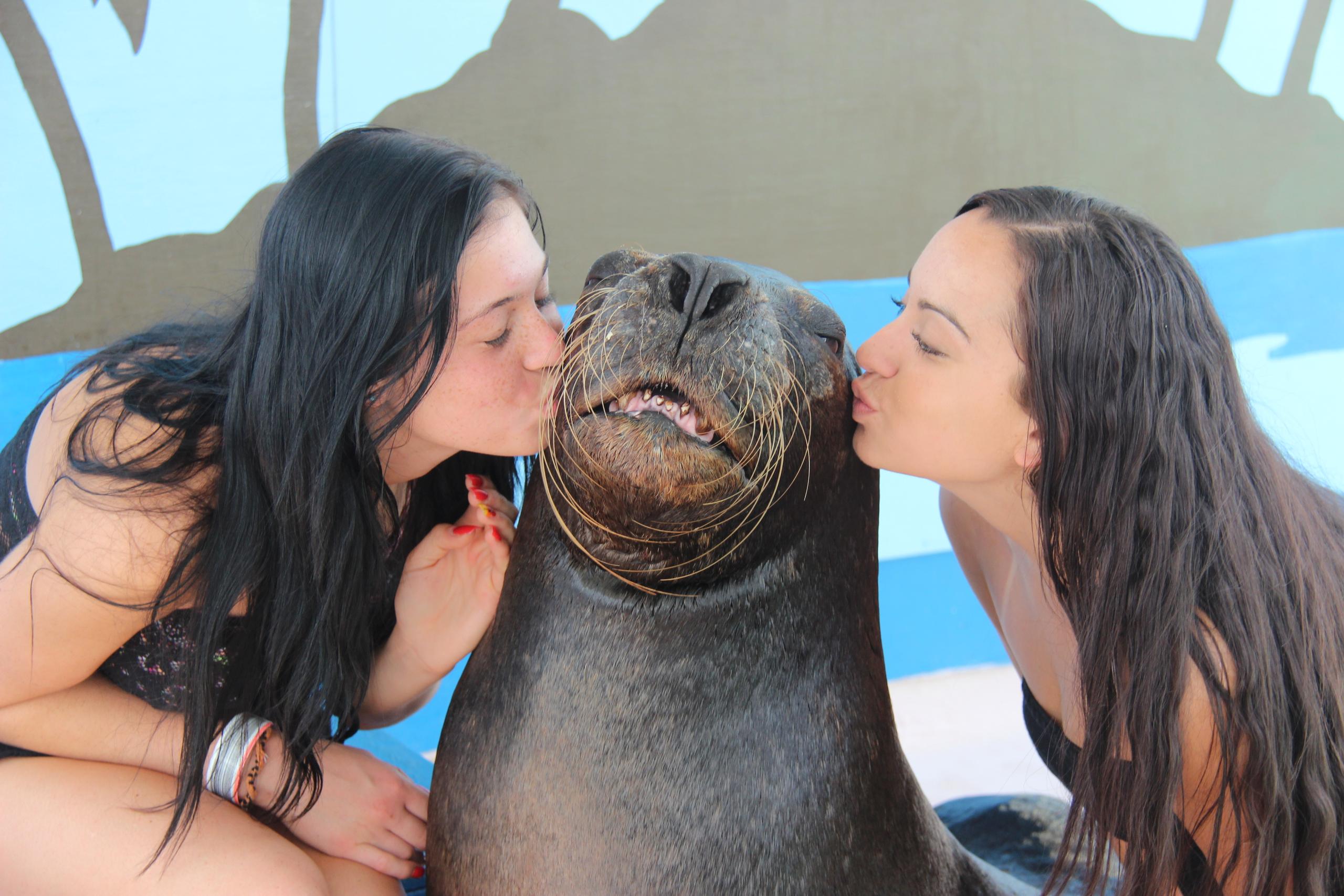 Sea Lion Encounter photo 3