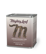 Assam Golden Tip from Mighty Leaf Tea