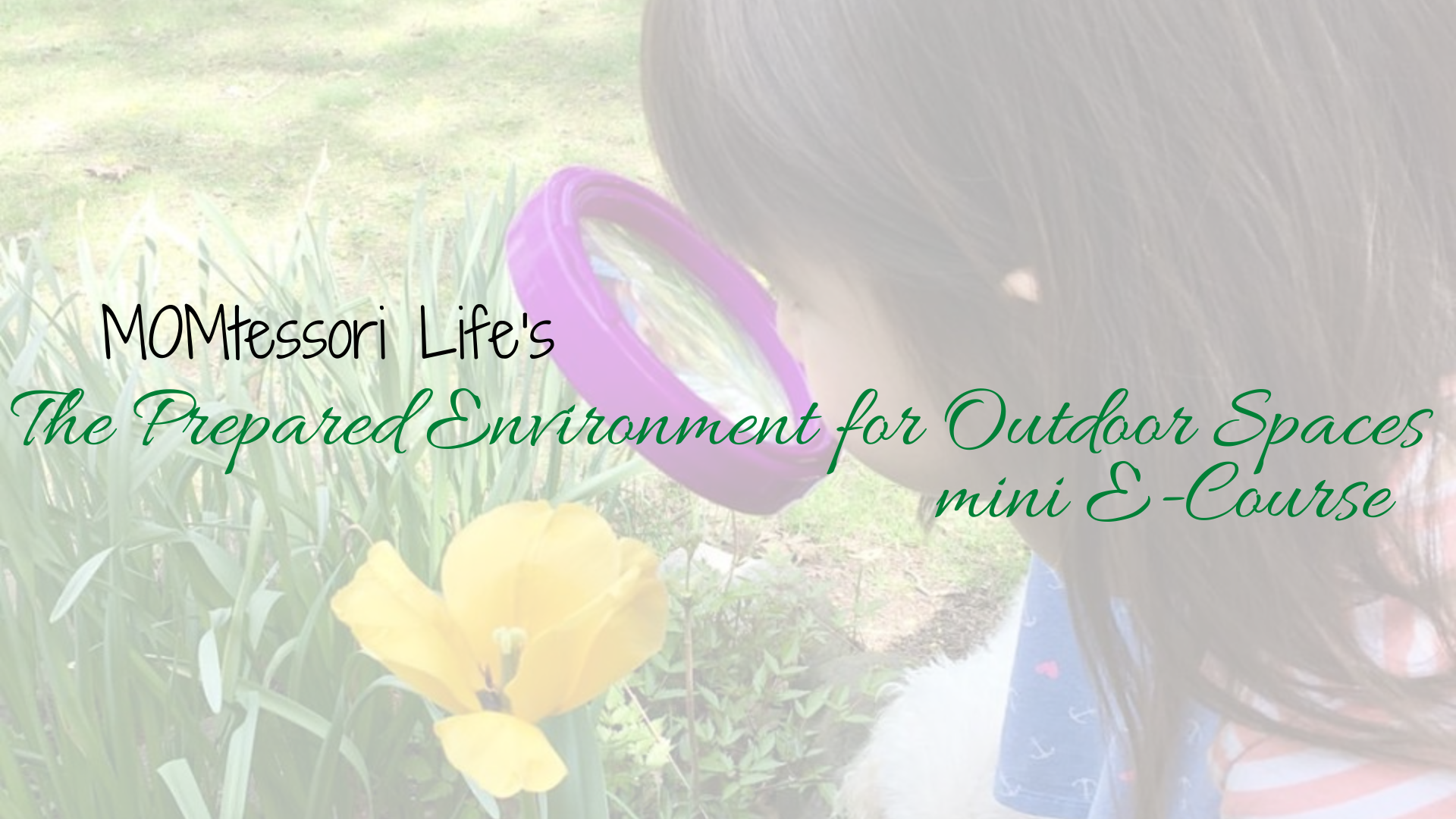 Product image for The Prepared Environment for Outdoor Spaces
