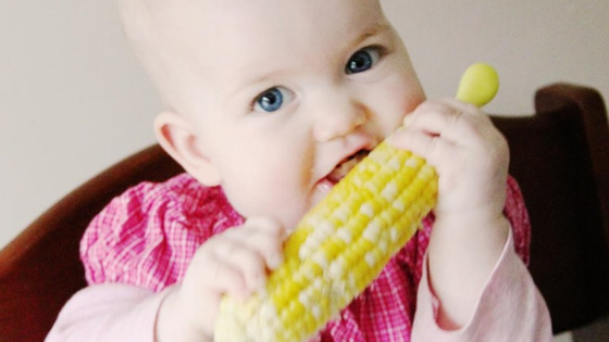 Baby led weaning