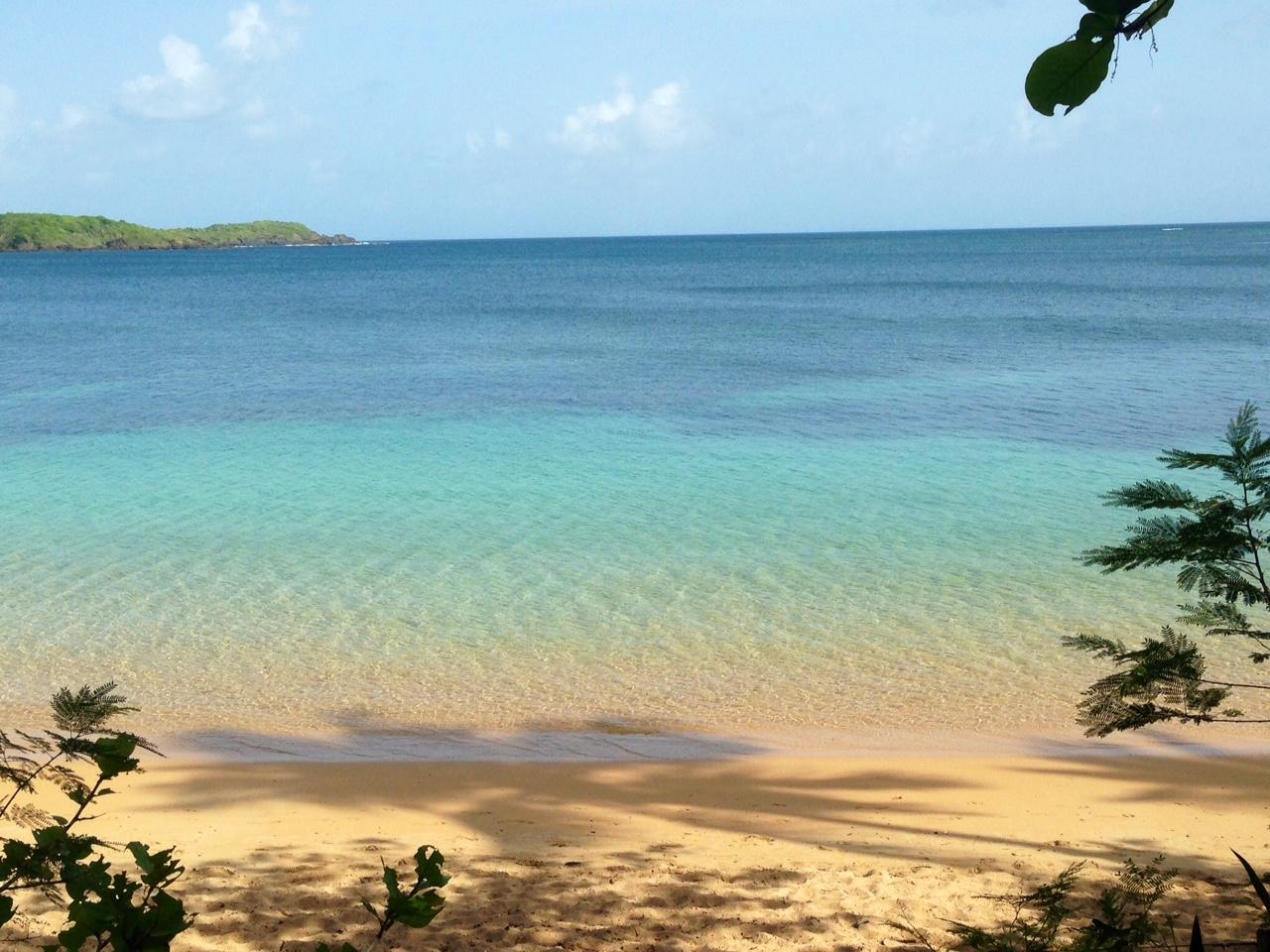 Explore, Discover, Preserve: A Five‑Hour Coastal School in Fajardo’s Cabezas de San Juan