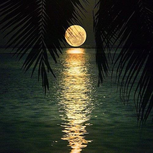 Key West Ghost & Mysteries Tour photo 2
