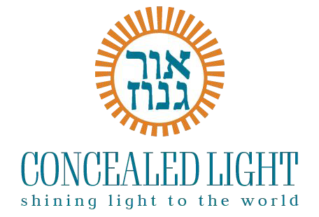 Concealed Light Foundation Inc. logo