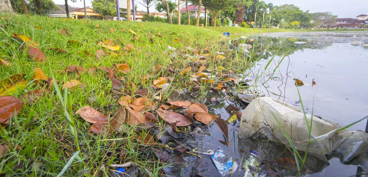 Help Preserve the Environment: Stop Throwing Out Plastic Bags