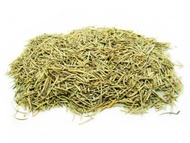 Rosemary Leaf from ESGREEN