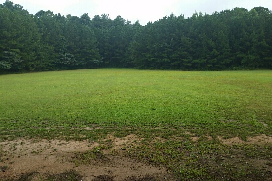 Field #2