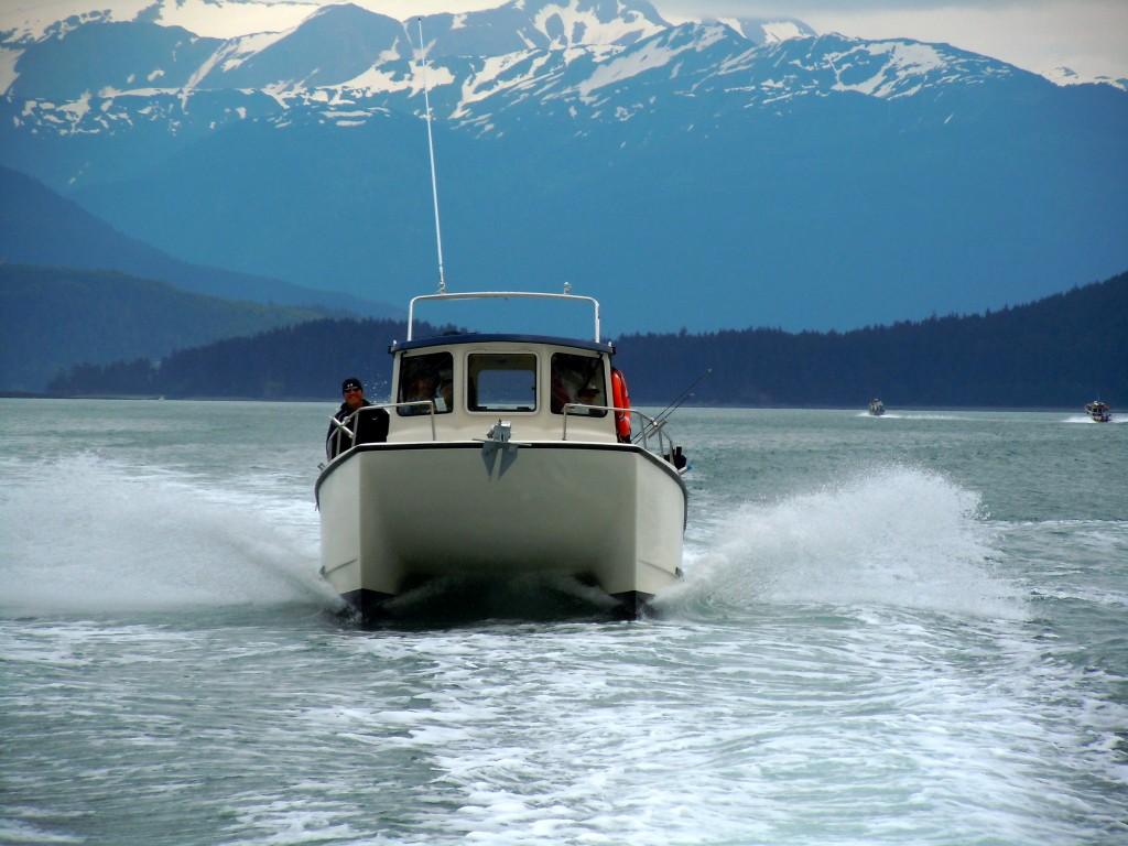 Boat Rentals - Scavenger a 26' Northriver aluminum photo 1