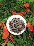 Old Master Dong Ding Oolong from Mountain Stream Teas