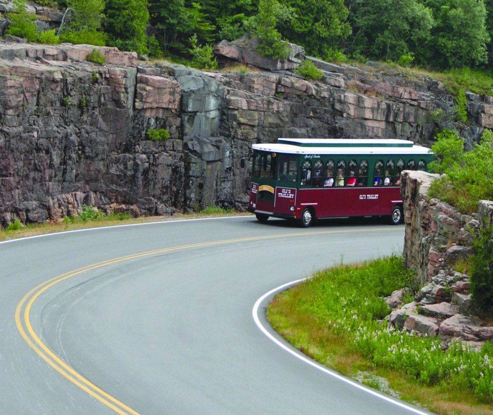 1 Hour Cadillac Mountain Tour - Bar Harbor