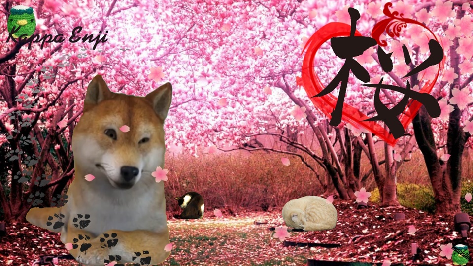 カッパえんちょうー
