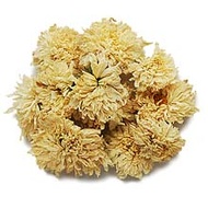 Chrysanthemum from TeaSpring