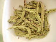Lemon Verbena from Tropical Tea Company