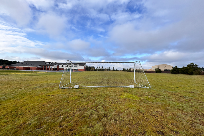 Athletic Field Grass