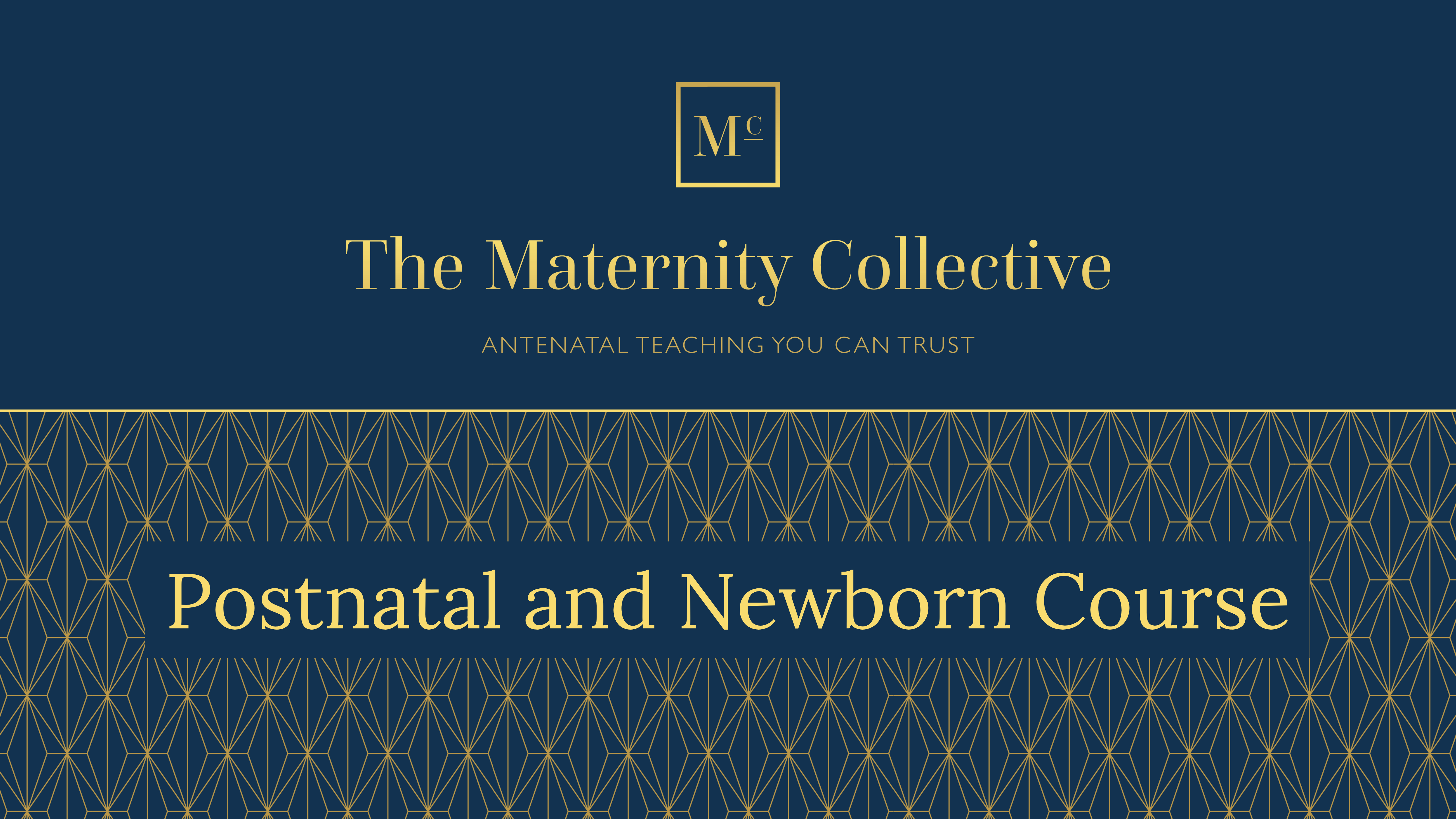 Product image for The Maternity Collective Complete Online Postpartum Period and Newborn Care Course
