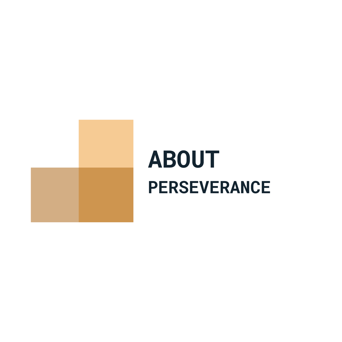 The About Perseverance Foundation logo